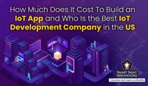 IoT Development Company