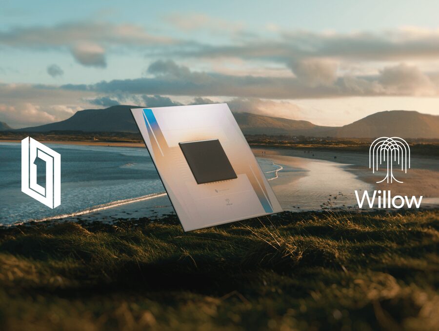 The Willow Chip 